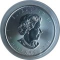 Канада 5 долларов 2019 год - Кленовый лист