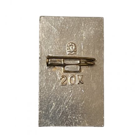 Значок Теплоход "Шота Руставели" (тип 1)