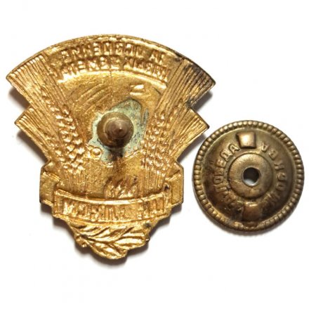 Знак ЦК ВЛКСМ &quot;За освоение новых земель&quot;