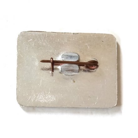 Значок Дом-музей А.П. Чехова в Ялте