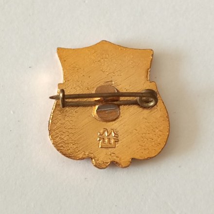 Значок Шахматы. Пешка