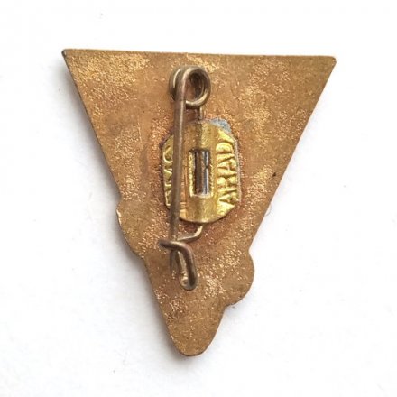 Значок Румыния. Лайнер Трансильвания. Romania m/n Transilvania O.N.T. Carpati