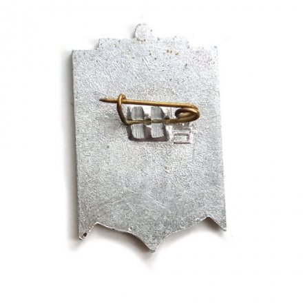 Значок Херсон. Флот