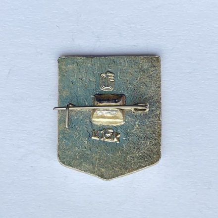 Значок. Водные лыжи