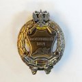 Знак заслуженный врач. РФ (копия)