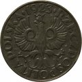 Польша 20 грошей 1923 год (цинк, не магнетик)