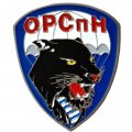 Знак ОРСпН. Отдельная рота Специального Назначения