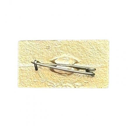 Значок Душанбе