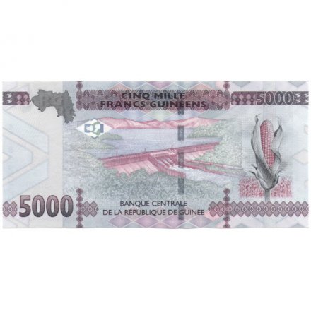 Гвинея 5000 франков 2015 год - UNC
