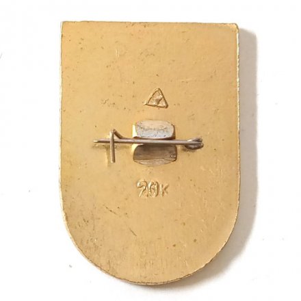 Значок Интеркосмос. СССР-СРВ