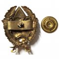 Знак Командира кавалерийских частей РККА (копия)
