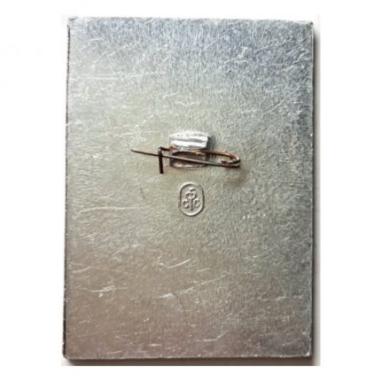 Значок Турнир &quot;Дружба&quot;. Участник