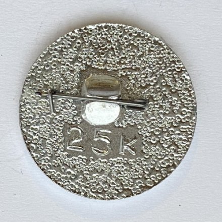 Значок. Мурманск. Праздник севера. Коньки