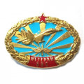 Знак &quot;Ветеран ВВС&quot;