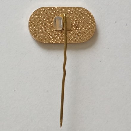 Значок - иголка &quot;50 ТЭ&quot; ЛМД