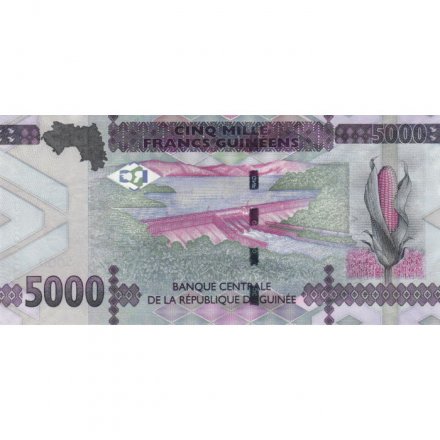 Гвинея 5000 франков 2021 год - UNC