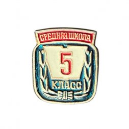 Значок Средняя школа. 5 класс