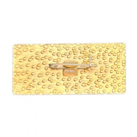 Значок ДонГУ. Матфак