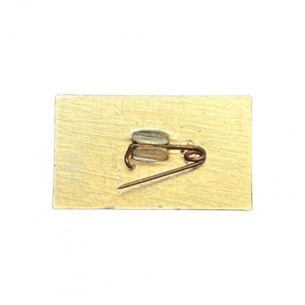 Значок Музей В.И. Ленина