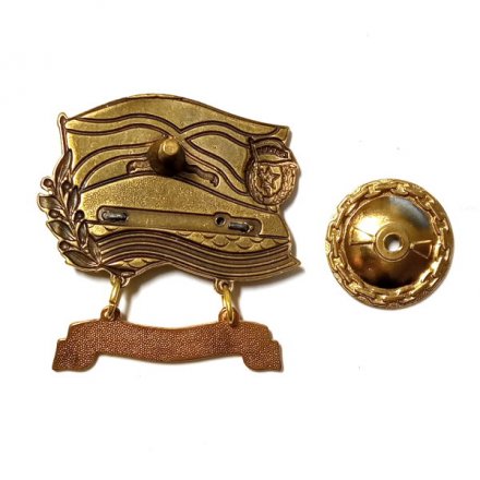 Знак ВМФ РФ. ГРКР &quot;Варяг&quot;