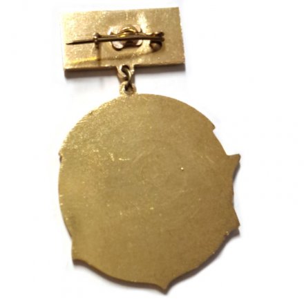 Знак Крейсер &quot;Красный Кавказ&quot;. 1941-1945