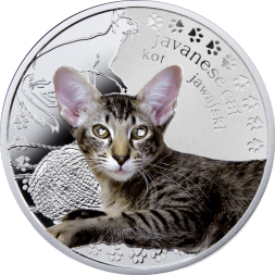 Ниуэ 1 доллар 2014 год - Лучшие друзья-кошки. Яванская кошка
