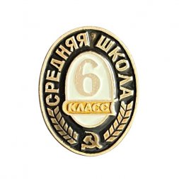 Значок Средняя школа. 6 класс