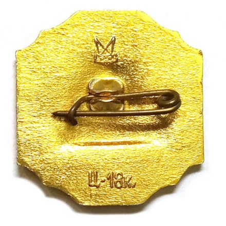 Значок Город Пушкин. Турецкая баня