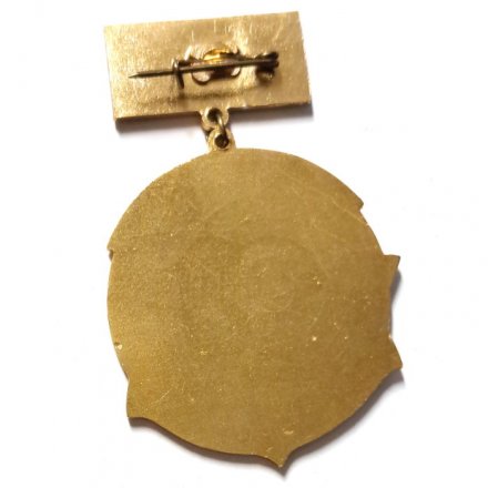 Знак Эскадренный миноносец. Лидер. &quot;Ташкент&quot;. 1941-1945