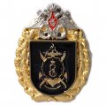 Знак Морская пехота. Герб. 810 бригада, буква Е