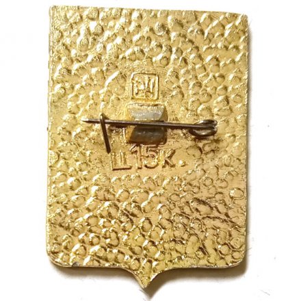 Значок Петропавловск. Тобольская губерния. Герб. Серия &quot;Квадраты&quot; (тип 2)