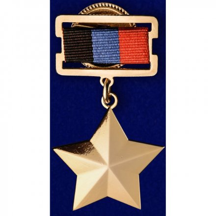 Нагрудный знак &quot;Герой ДНР&quot;, с удостоверением