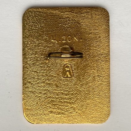 Значок. Vl Зимняя Спартакиада. 1974 Ленинград