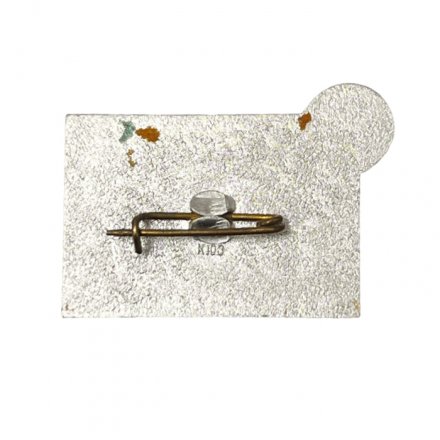 Значок. Турбаза Днестр. Могилёв-Подольский.