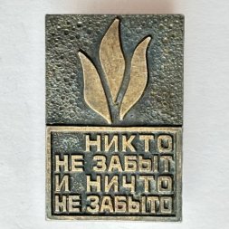 Значок. Никто не забыт и ничто не забыто. Огонь ( тяжелый)
