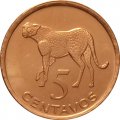 Мозамбик 5 сентаво 2006 год - Гепард