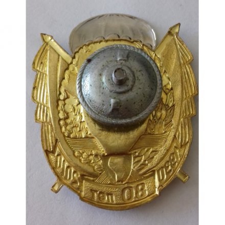 Знак &quot;80 лет ВДВ (1930-2010)&quot;