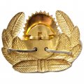Кокарда ВС СССР. Офицерская