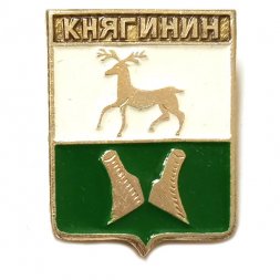 Значок Княгинин. Нижегородская область. Герб. Серия "Квадраты"