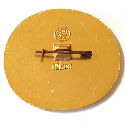 Значок &quot;Созвездие пегас&quot;