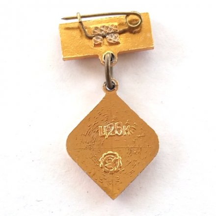 Значок БРЗ 20 лет