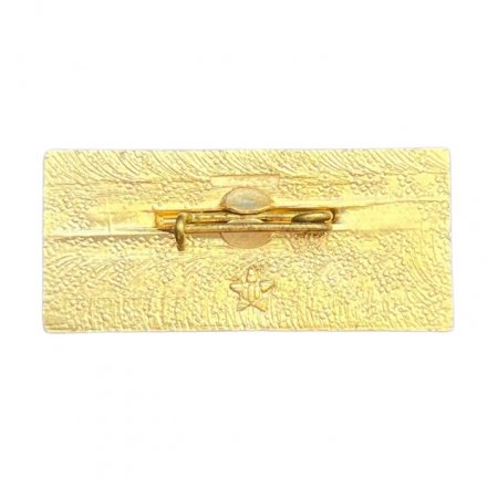 Значок 50 лет ЭРА. Ленинград 1972