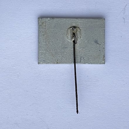 Значок. Надежда - 70. Бельцы