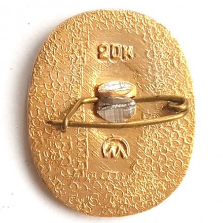 Значок Интеркосмос. СССР-Румыния (СРР)