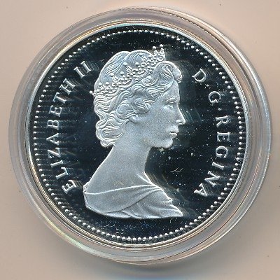 Канада 1 доллар 1989 год - Сплав по реке Маккензи (Proof)