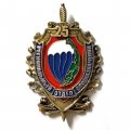 Знак 25 лет. Региональный отдел спецназначения. Боевые пловцы. Владивосток