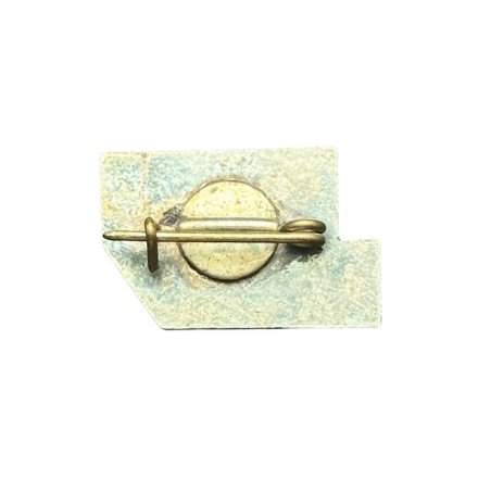 Значок Эстония. Eesti Üliõpilaste Ehitusmalev. Студенческий строительный отряд. 1980 год