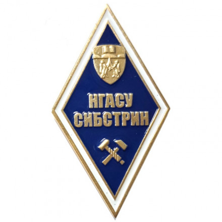 Нагрудный академический знак &quot;НГАСУ СИБСТРИН&quot;, латунь