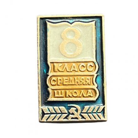 Значок Средняя школа. 8 класс
