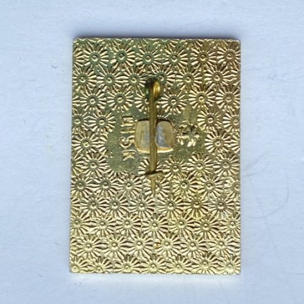 Значок. Международные легкоатлетические соревнования. 1977 Сочи